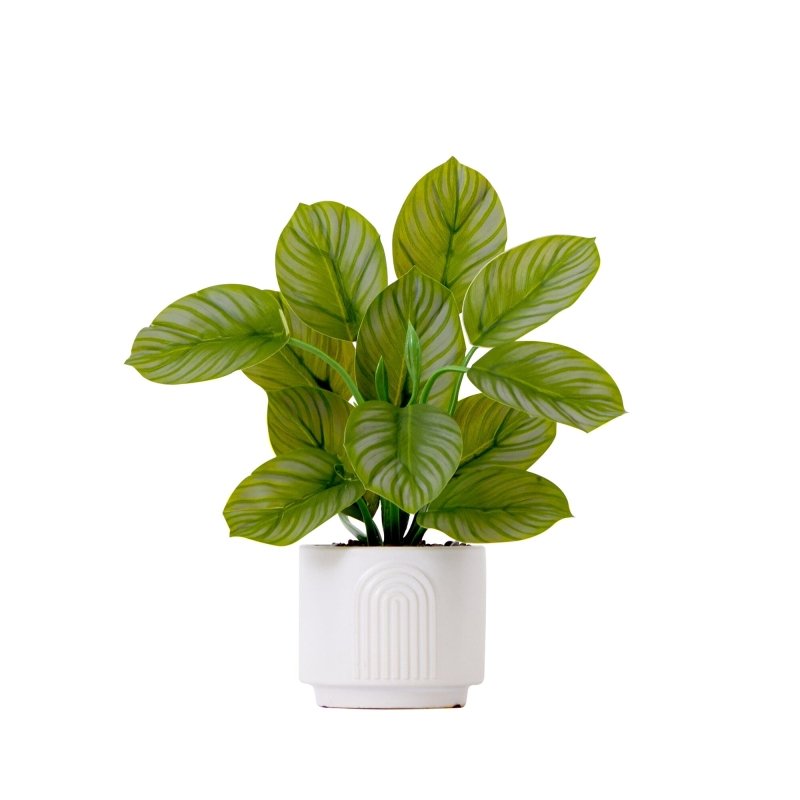 12&quot; Artificial Calathea Plant with Decorative Planter - FCHF CITY