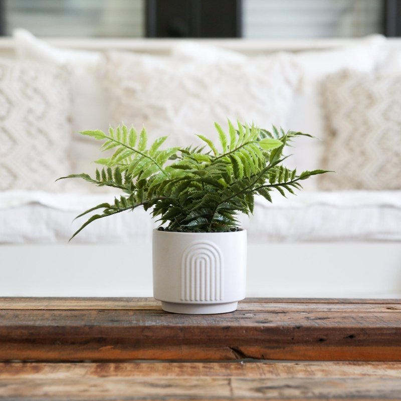 13&quot; Artificial Boston Fern Plant with Decorative Planter - FCHF CITY