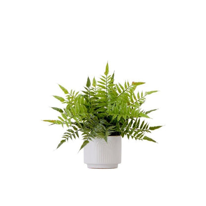 13&quot; Artificial Boston Fern Plant with Decorative Planter - FCHF CITY