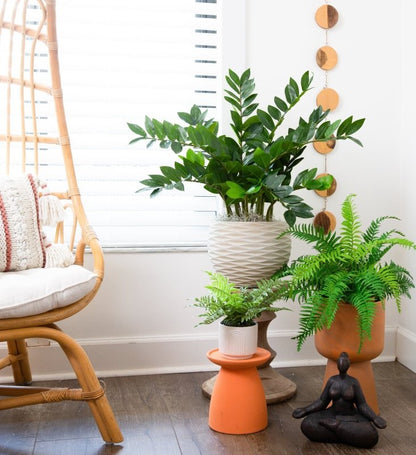 13&quot; Artificial Boston Fern Plant with Decorative Planter - FCHF CITY