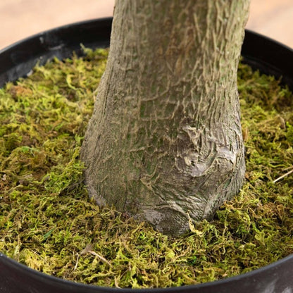 13’ Giant Artificial Olive Tree - FCHF CITY