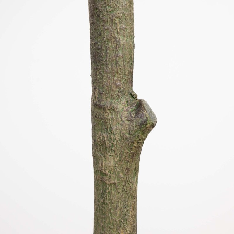 13’ Giant Artificial Olive Tree - FCHF CITY