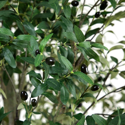 13’ Giant Artificial Olive Tree - FCHF CITY