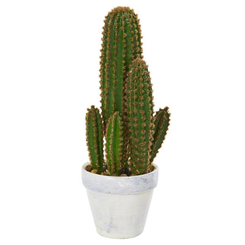 1.5’ Cactus Succulent Artificial Plant - FCHF CITY