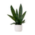 16" Artificial Sansevieria Snake Plant with Decorative Planter - FCHF CITY
