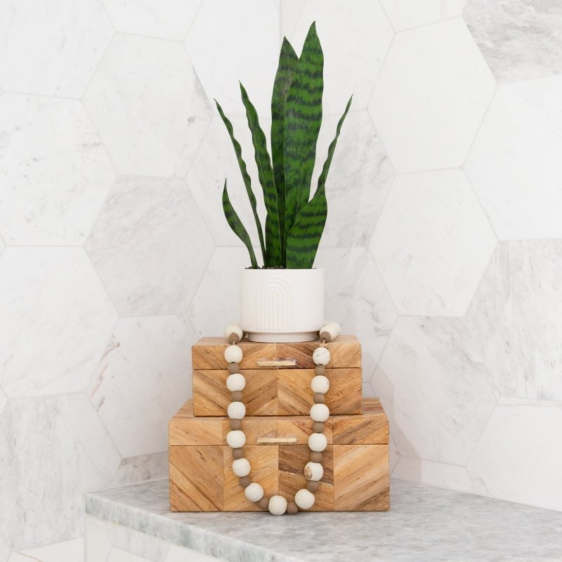 16&quot; Artificial Sansevieria Snake Plant with Decorative Planter - FCHF CITY