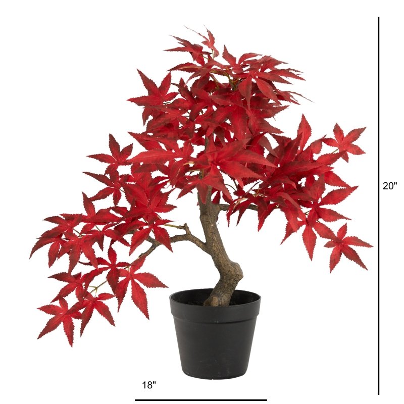 20” Autumn Maple Bonsai - FCHF CITY