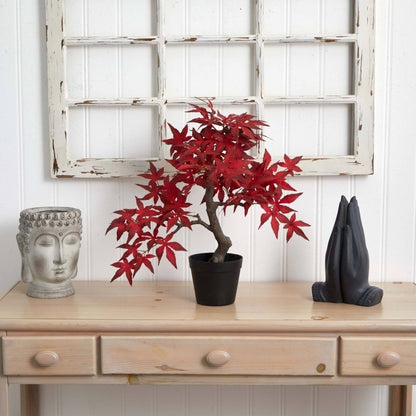20” Autumn Maple Bonsai - FCHF CITY
