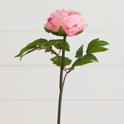 20&quot;Artificial Peony Flower Stems - Set of 3 - FCHF CITY