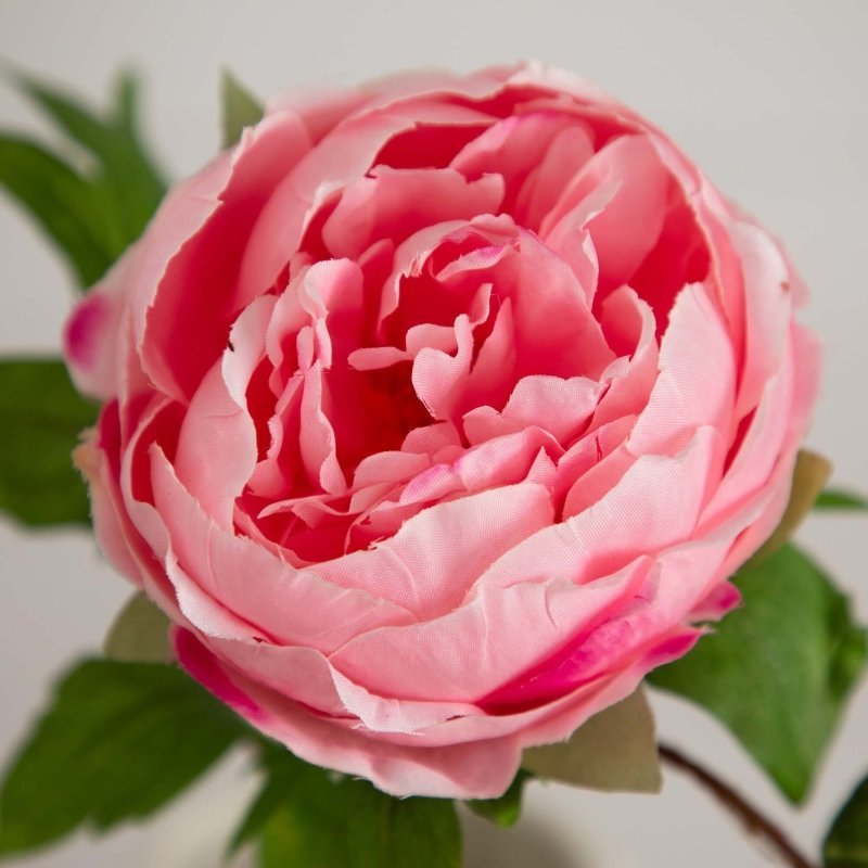 20&quot;Artificial Peony Flower Stems - Set of 3 - FCHF CITY