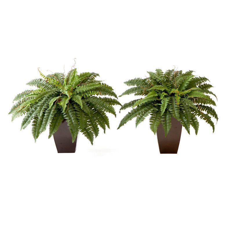 23” Artificial Boston Fern Plant with Tapered Bronze Square Metal Planter DIY KIT - Set of 2 - FCHF CITY