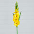 45" Artificial Gladiolus Flower Stems - Set of 3 - FCHF CITY