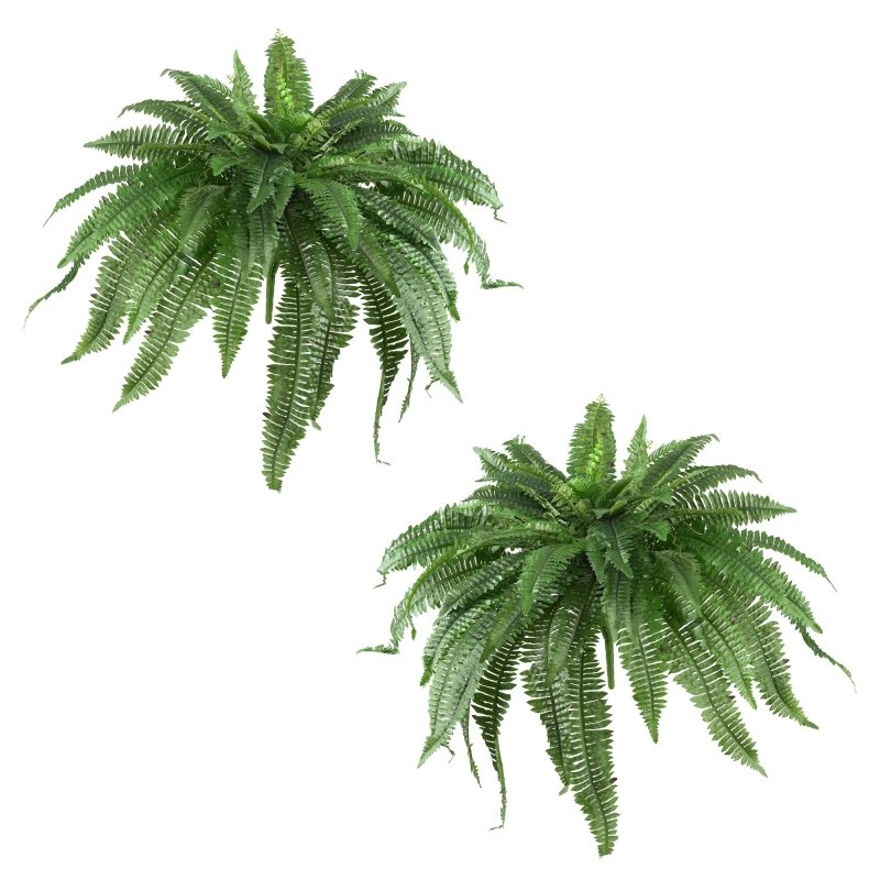 48” Boston Fern (Set of 2) - FCHF CITY