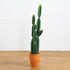5’ Artificial Cactus in Terracotta Planter - FCHF CITY