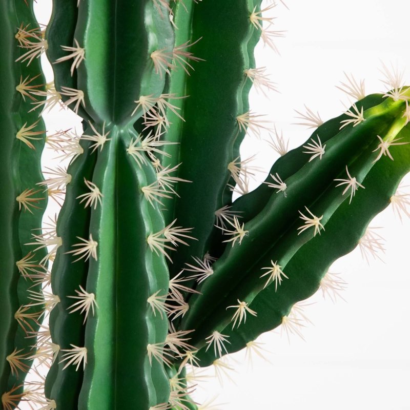 5’ Artificial Cactus in Terracotta Planter - FCHF CITY