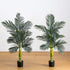 5’ Artificial Double Stalk Golden Cane Palm Tree - Set of 2 - FCHF CITY