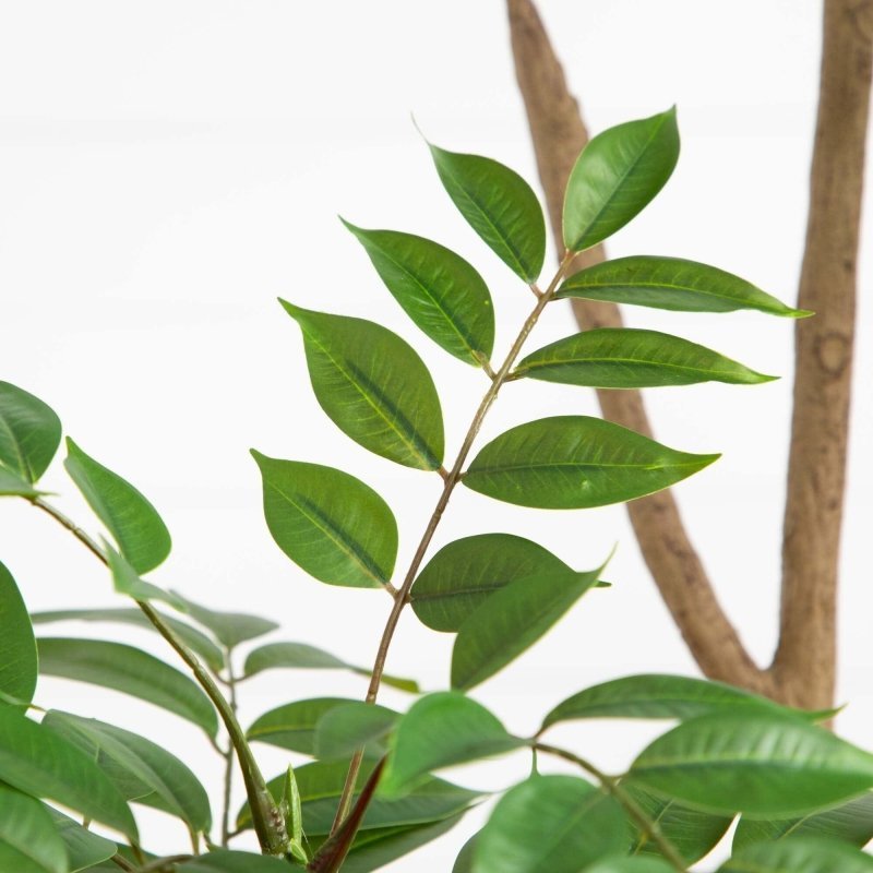 5’ Artificial Pieris Tree - FCHF CITY