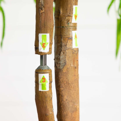 5’ Willow Artificial Tree (Real Touch) - FCHF CITY