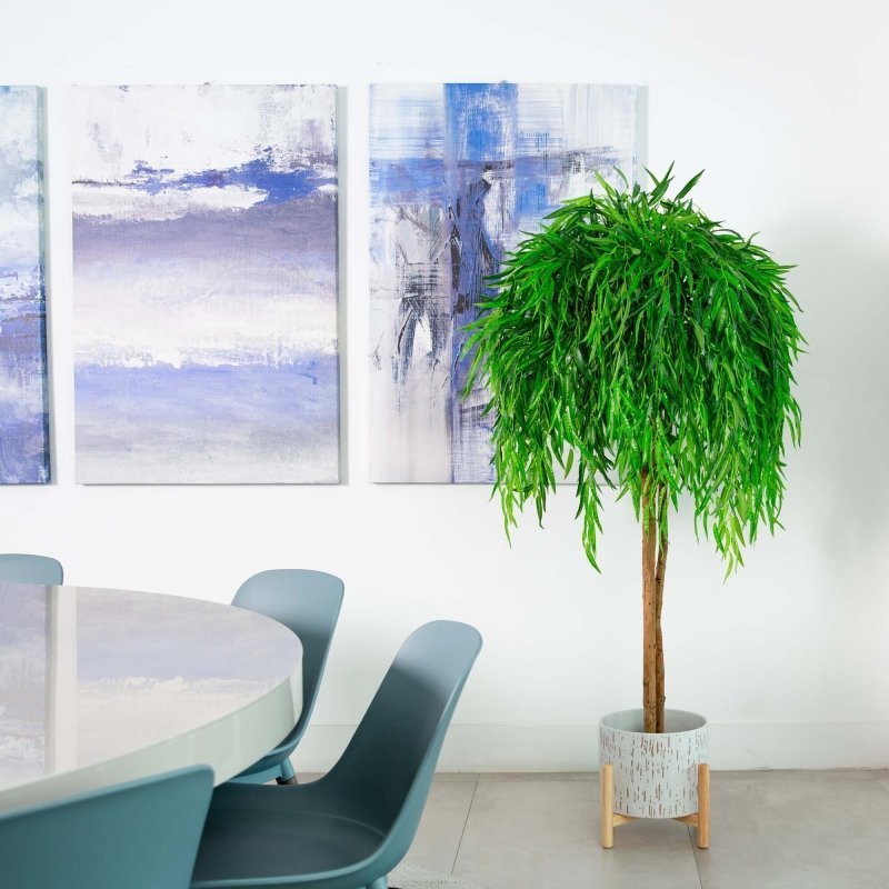 5’ Willow Artificial Tree (Real Touch) - FCHF CITY