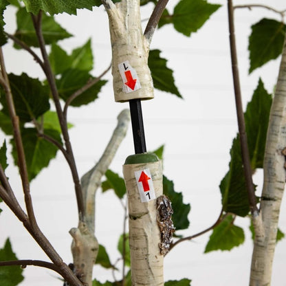 6’ Artificial Birch Tree with Real Touch Leaves - FCHF CITY