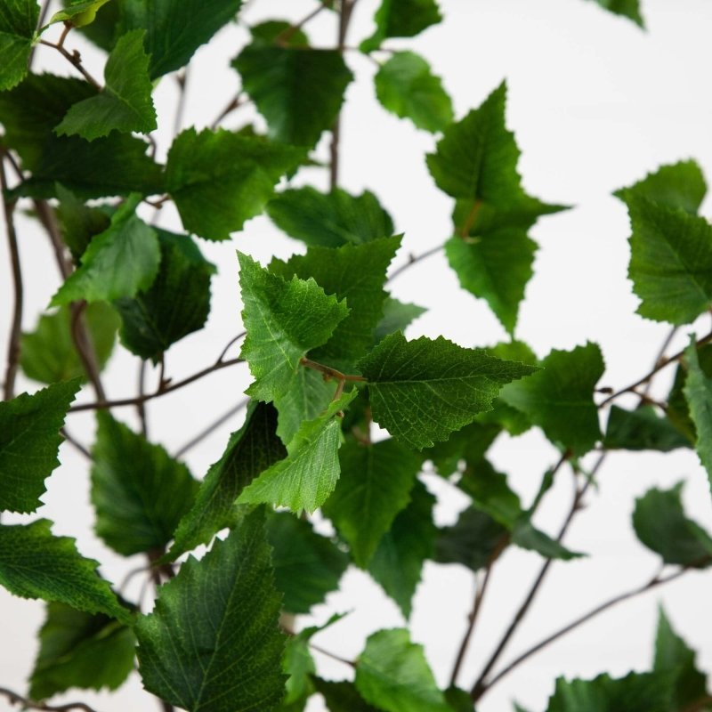 6’ Artificial Birch Tree with Real Touch Leaves - FCHF CITY