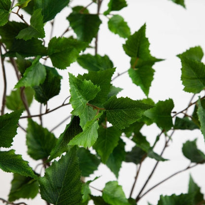 6’ Artificial Birch Tree with Real Touch Leaves - FCHF CITY