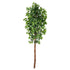 6’ Artificial Double Trunk Ficus Tree (No Pot) - FCHF CITY