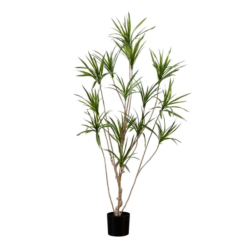 6’ Artificial Dracaena Tree - FCHF CITY