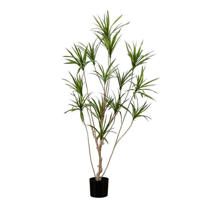 6’ Artificial Dracaena Tree - FCHF CITY