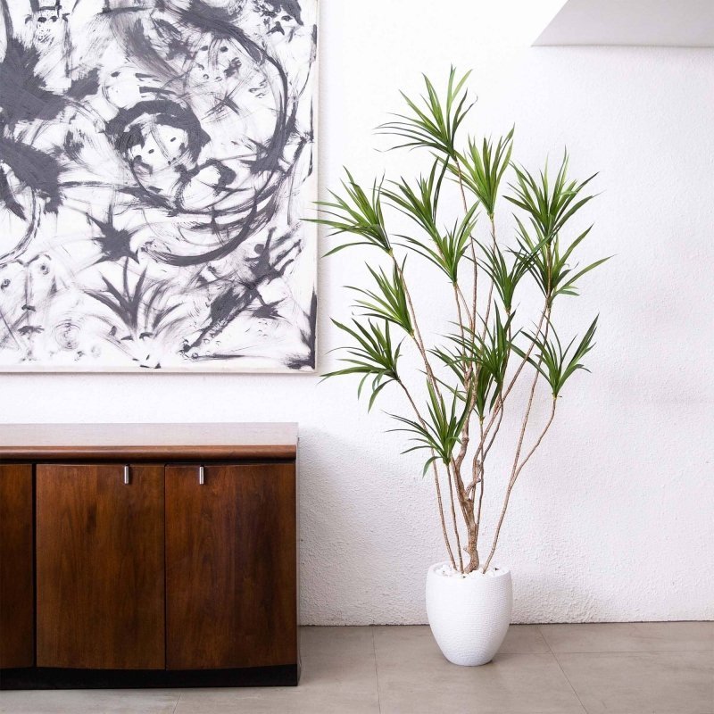 6’ Artificial Dracaena Tree - FCHF CITY