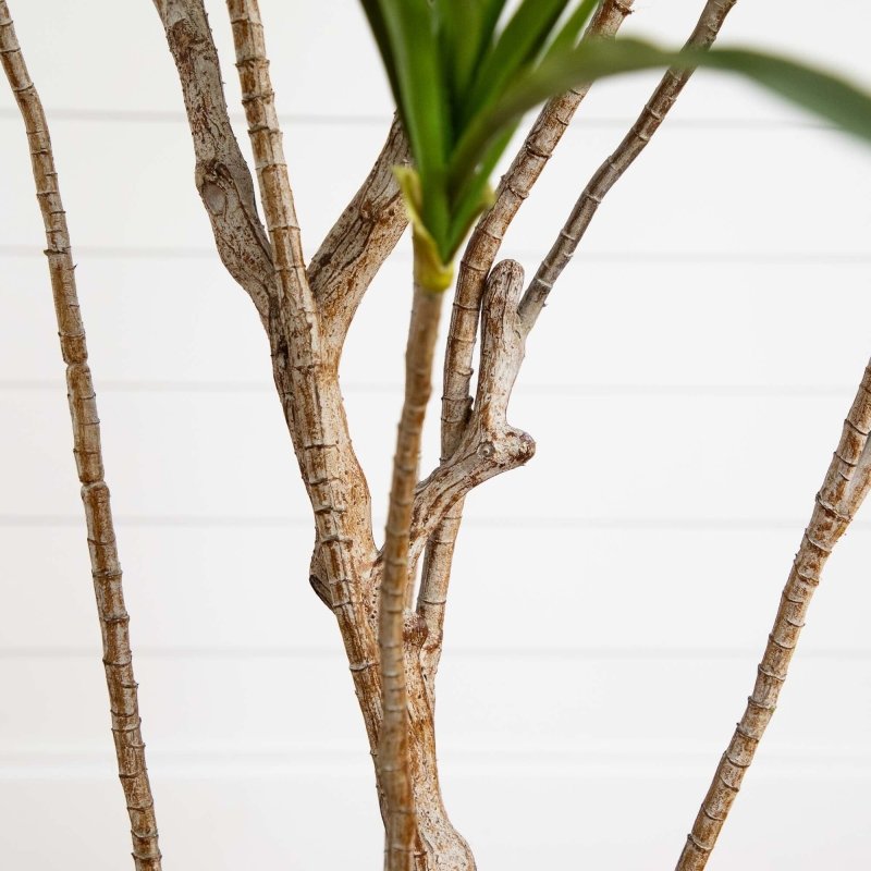 6’ Artificial Dracaena Tree - FCHF CITY