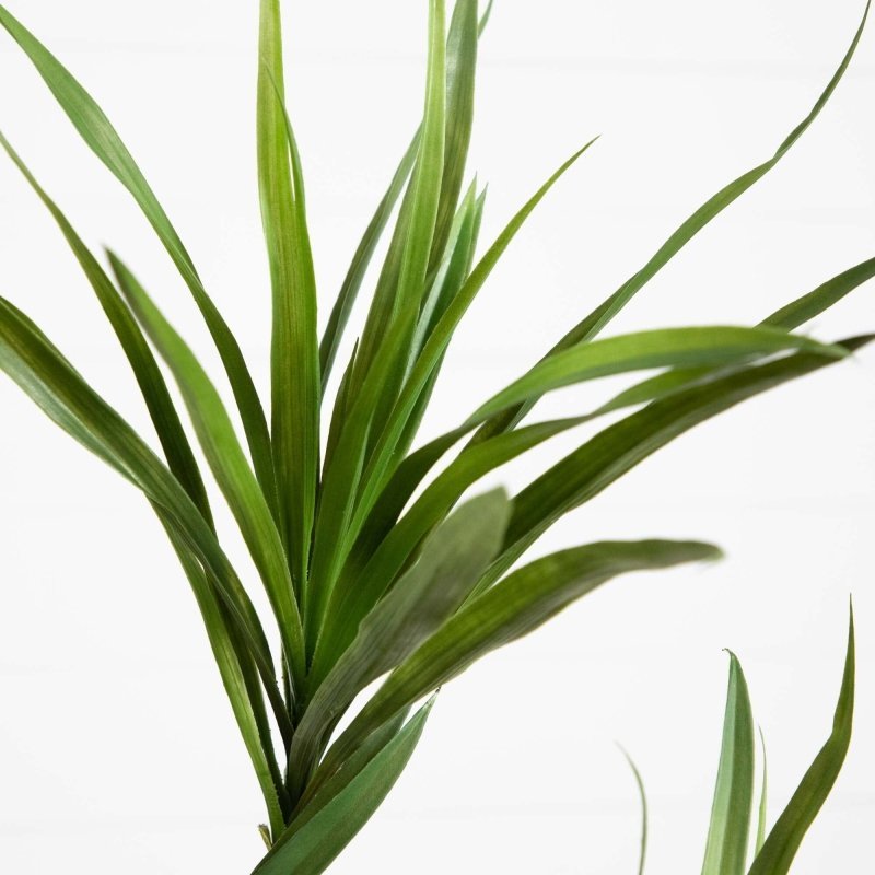 6’ Artificial Dracaena Tree - FCHF CITY