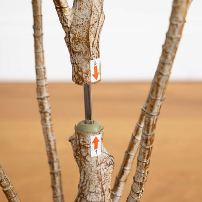 6’ Artificial Dracaena Tree - FCHF CITY