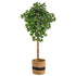 6’ Artificial Ficus Tree with Handmade Jute & Cotton Basket - FCHF CITY