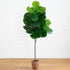 6’ Artificial Giant Leaf Fiddle Leaf Fig Tree in Decorative Planter with Real Touch Leaves - FCHF CITY