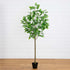 6’ Artificial Greco Citrus Tree with Real Touch Leaves - FCHF CITY