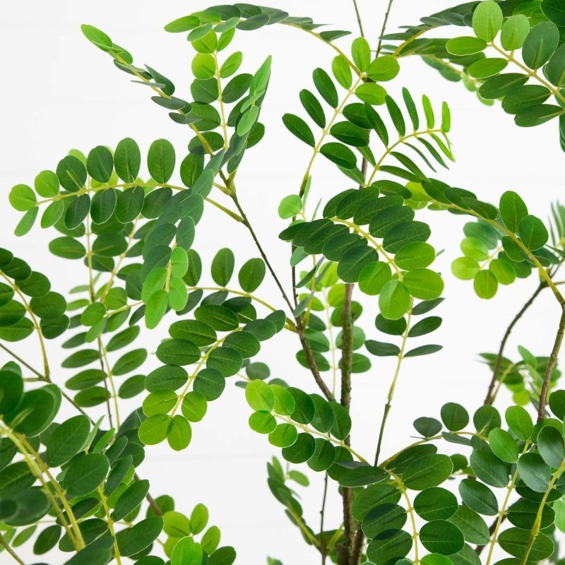 6’ Artificial Greco Citrus Tree with Real Touch Leaves - FCHF CITY