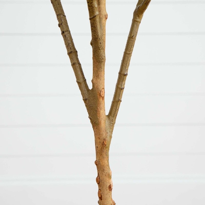 6’ Artificial Olive Tree with Natural Trunk - FCHF CITY