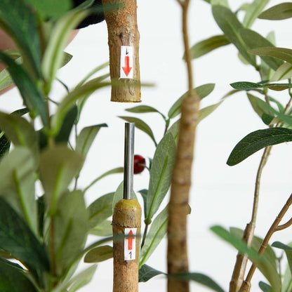 6’ Artificial Olive Tree with Natural Trunk - FCHF CITY