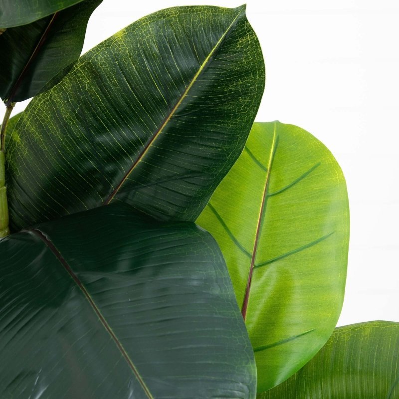 6’ Artificial Rubber Tree in Decorative Planter with Real Touch Leaves - FCHF CITY