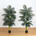 6’ Artificial Triple Stalk Golden Cane Palm Tree - Set of 2 - FCHF CITY