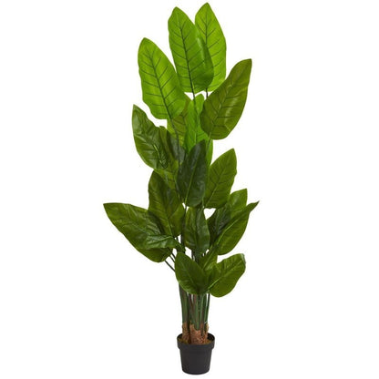 6’ Canna Artificial Tree - FCHF CITY