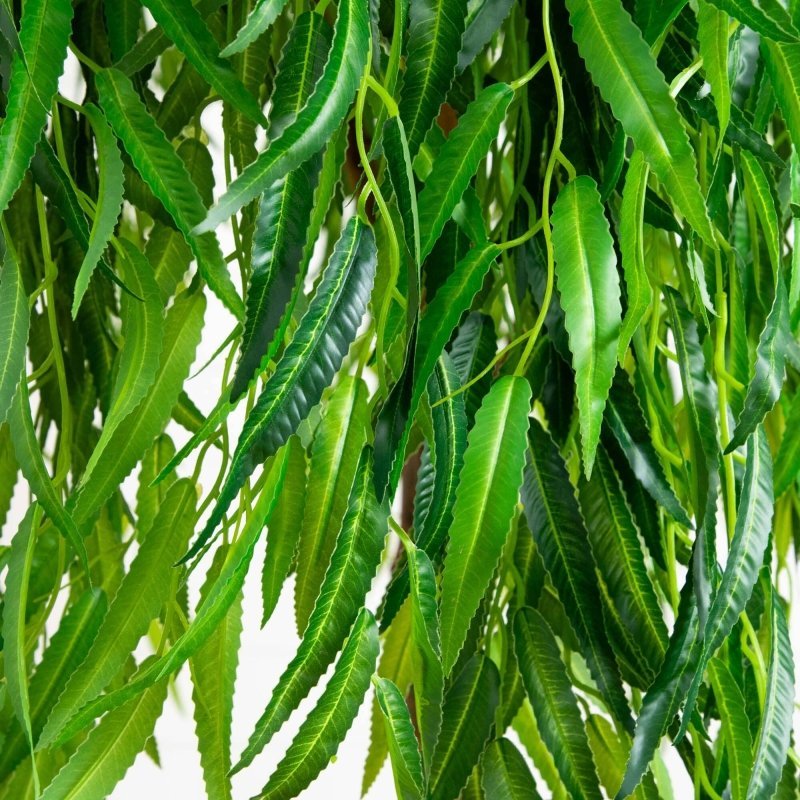 6’ Willow Artificial Tree (Real Touch) - FCHF CITY