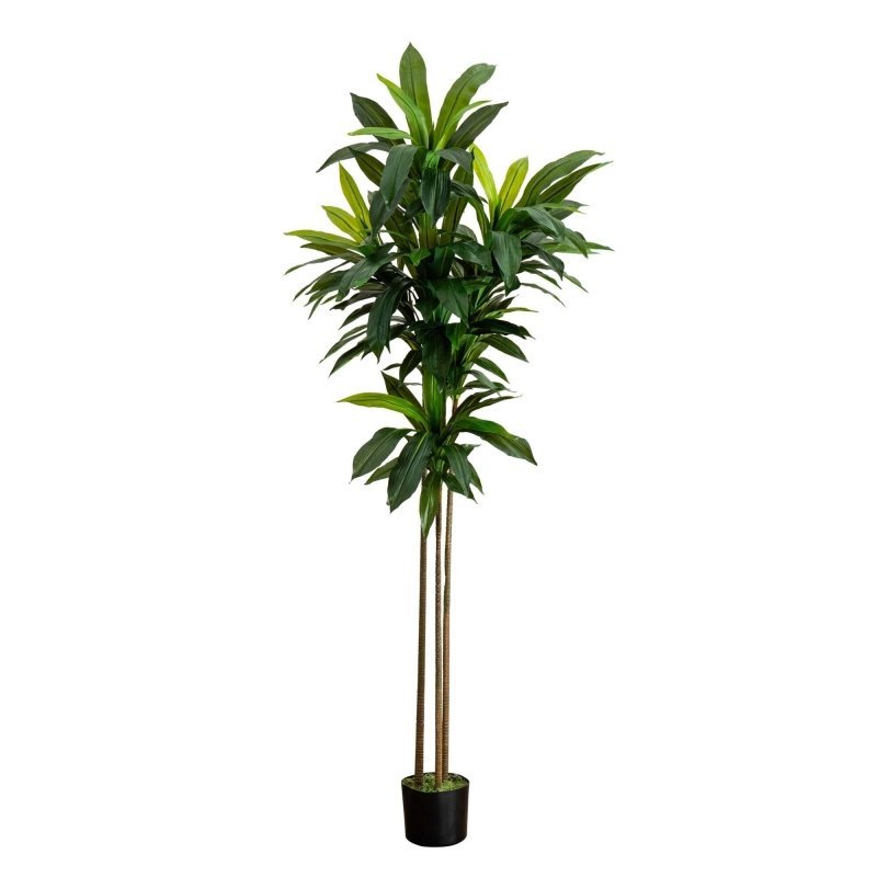 7’ Artificial Dracaena Tree - FCHF CITY