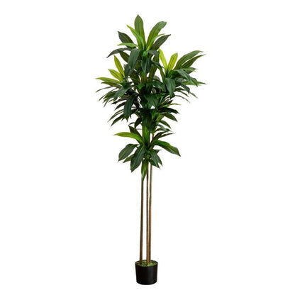 7’ Artificial Dracaena Tree - FCHF CITY