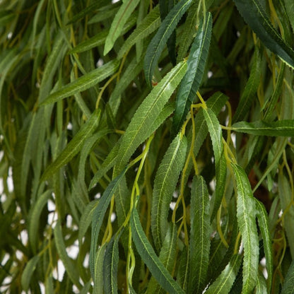 7’ Willow Artificial Tree - FCHF CITY