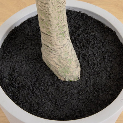 7.5’ Artificial Greco Locust Citrus Tree in Decorative Planter - FCHF CITY