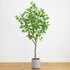 7.5’ Artificial Greco Locust Citrus Tree in Decorative Planter - FCHF CITY