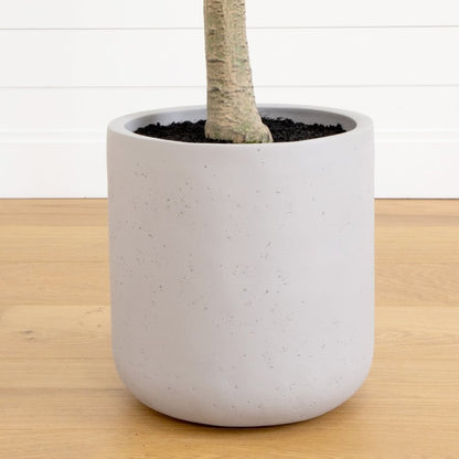 7.5’ Artificial Greco Locust Citrus Tree in Decorative Planter - FCHF CITY
