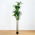 8’ Artificial Dracaena Tree with Real Touch Leaves - FCHF CITY